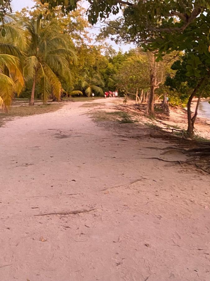 La Maison De La Plage Sainte-Luce Εξωτερικό φωτογραφία